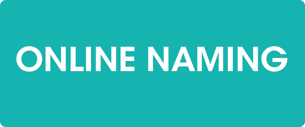online naming portal