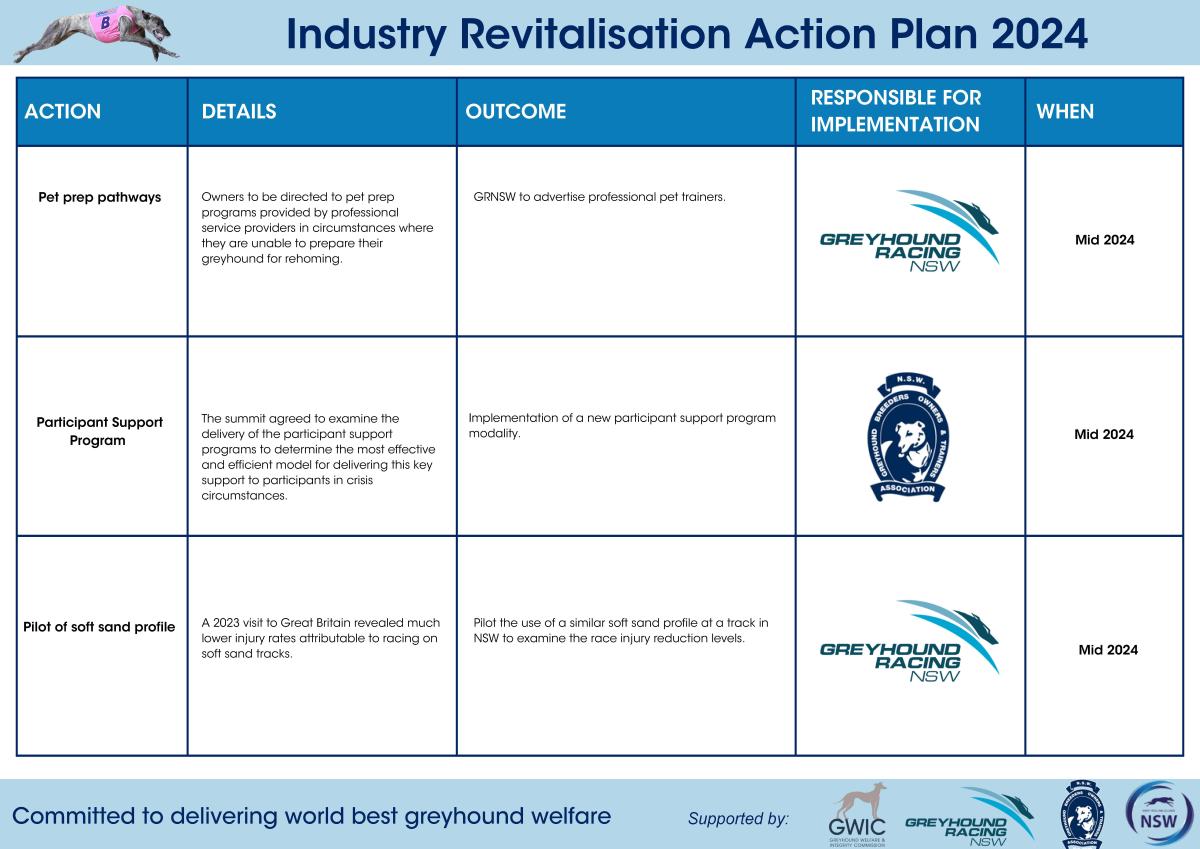Industry Revitalisation Action Plan 2024 page 3