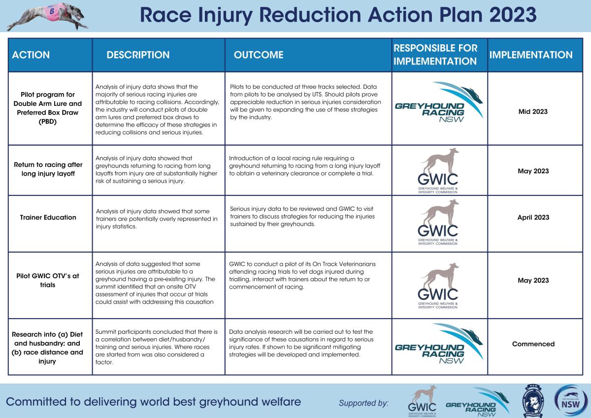 Race Injury Reduction Action Plan 2023 page 1