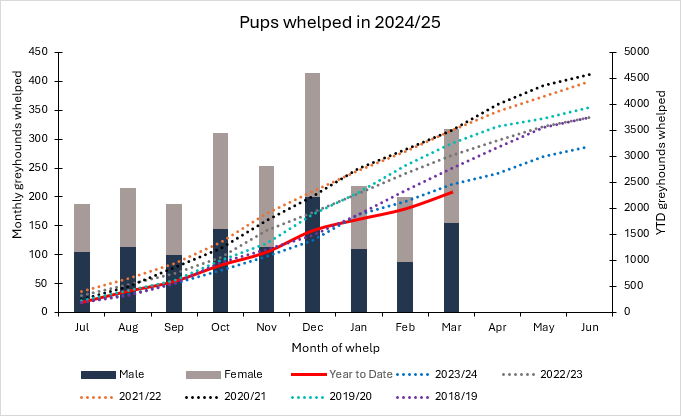 FY 2024-25 March Whelping Statistics